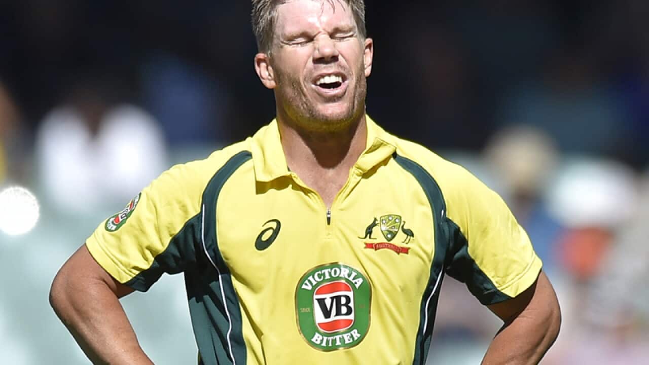 David Warner of Australia