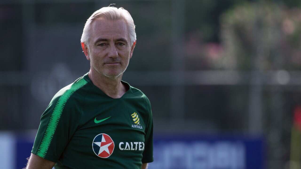 Australian Socceroos coach Bert van Marwijk at their 2018 FIFA World Cup training camp in Antalya, Turkey