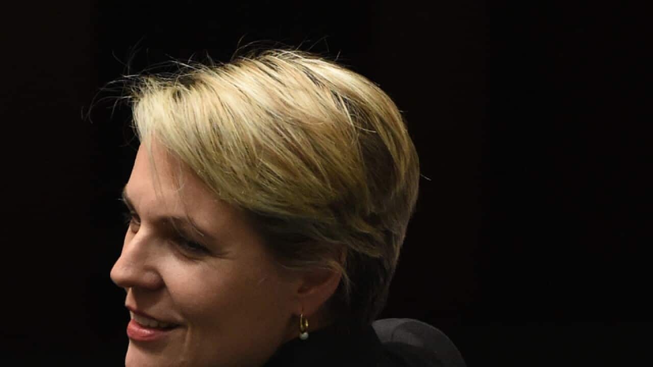 Federal Deputy Opposition Leader Tanya Plibersek