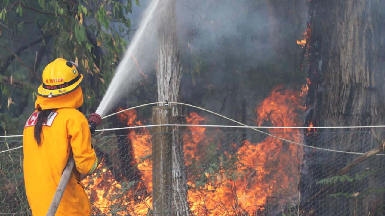 Firefighters battle a bushfire