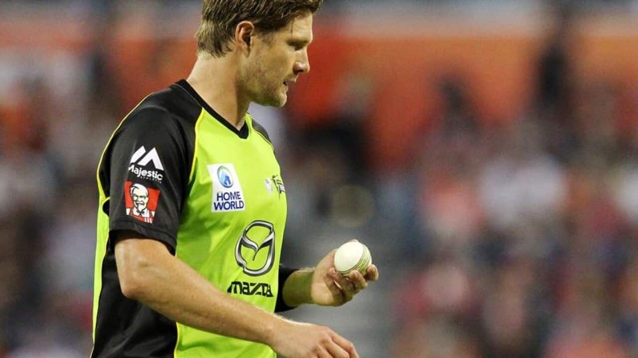 A file image of Sydney Thunder BBL captain Shane Watson