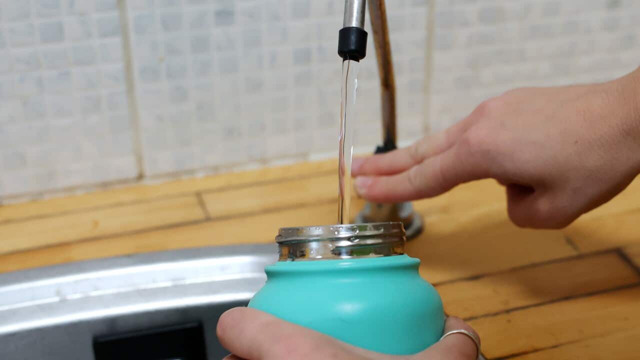 A close up of a person filling up a drink bottle with tap water