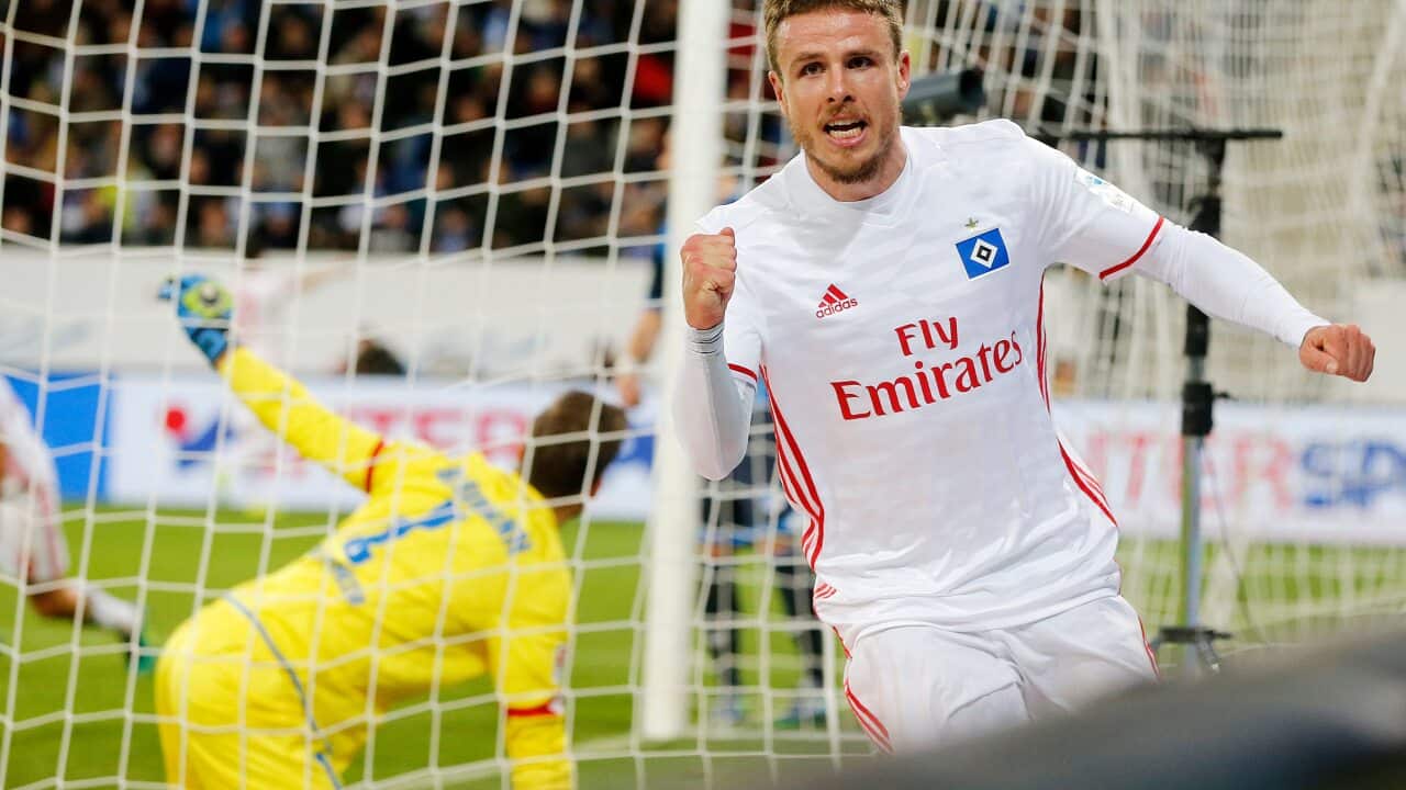 Hamburg Hoffenheim
