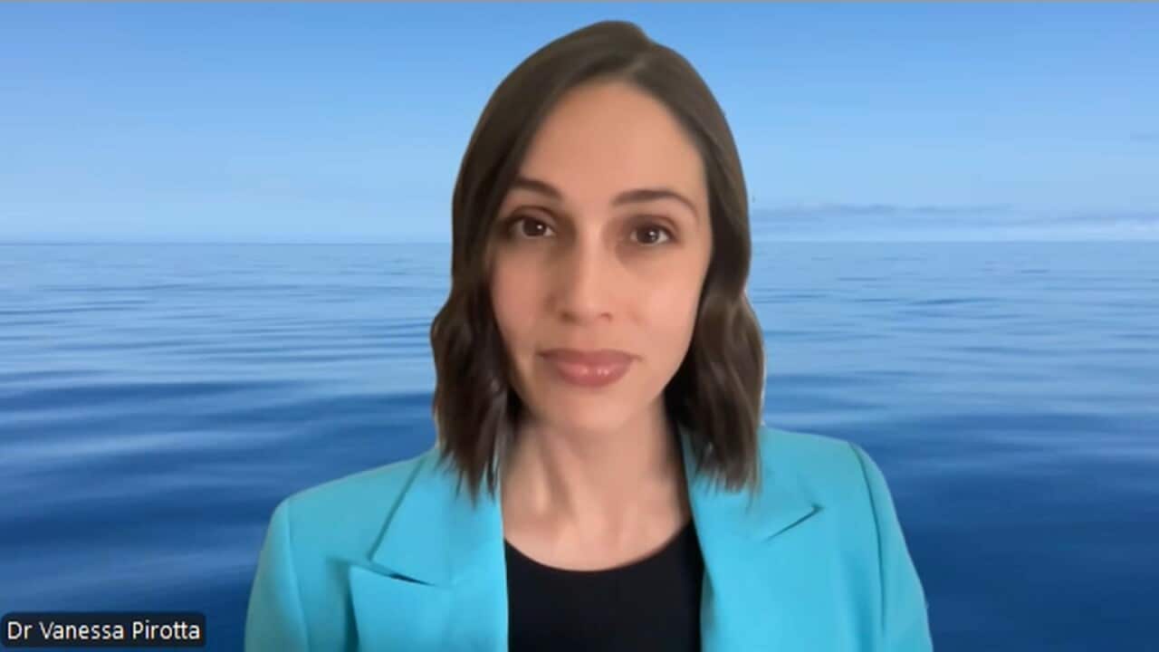 Dr Vanessa Pirotta Wildlife Scientist SBS.jpg