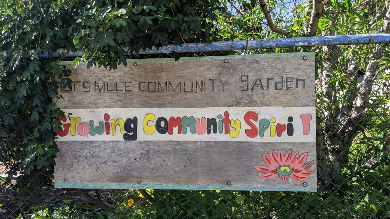 Hurstville Community Garden