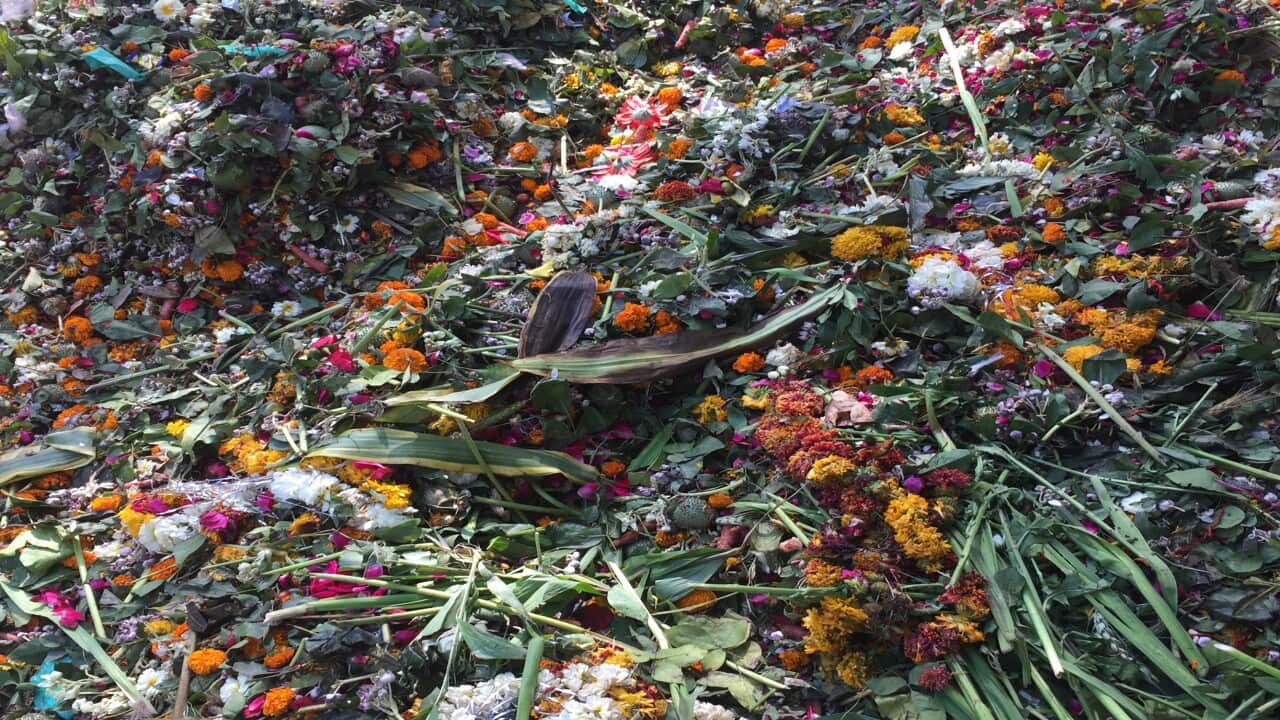 Flowers and Leaves in a pit for Bio Compost