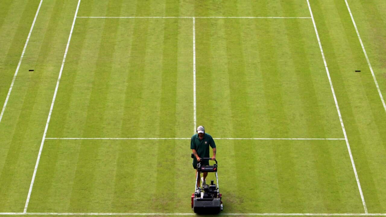 A man mows a grass court at Wimbledon