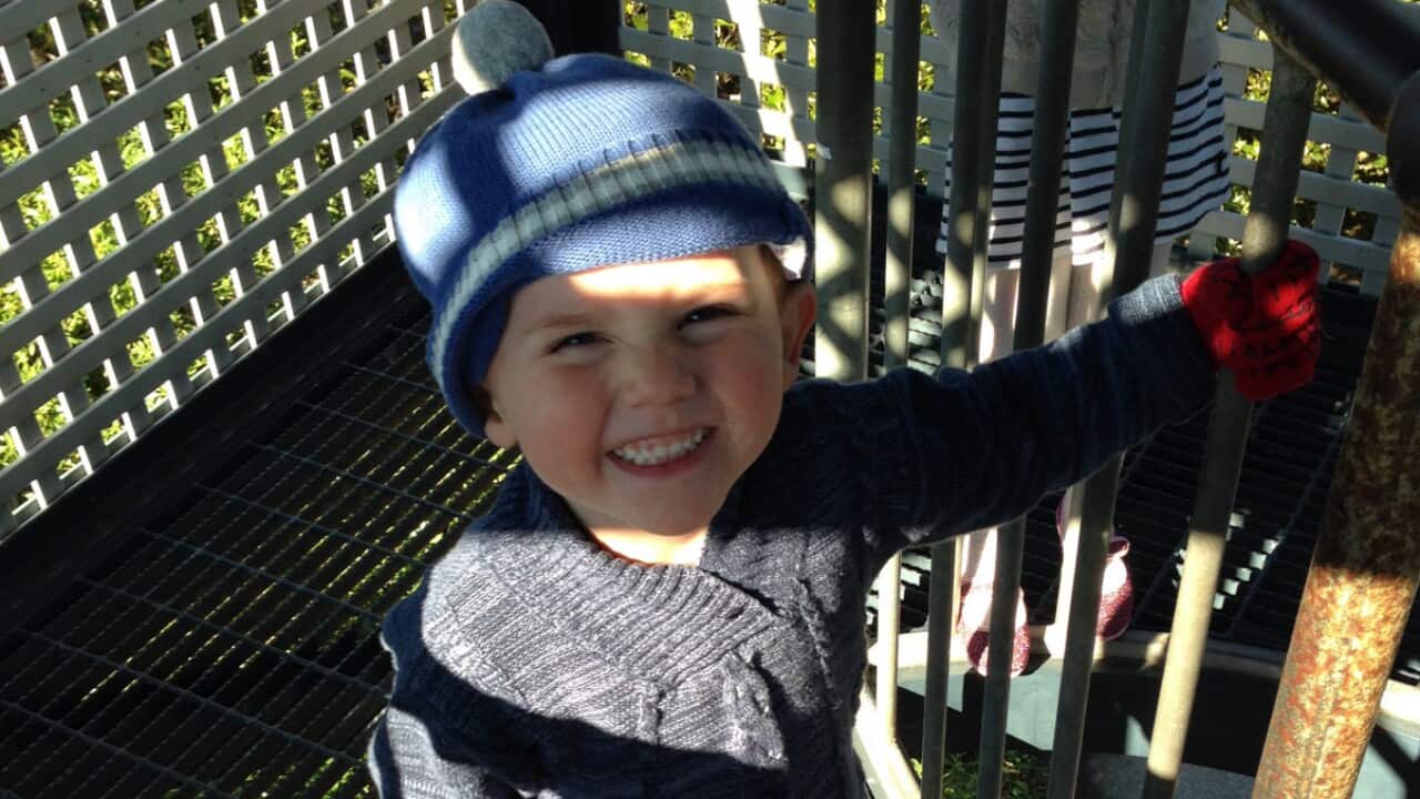 The case of the missing boy has captured the nation's attention since William disappeared from his foster grandmother's garden.