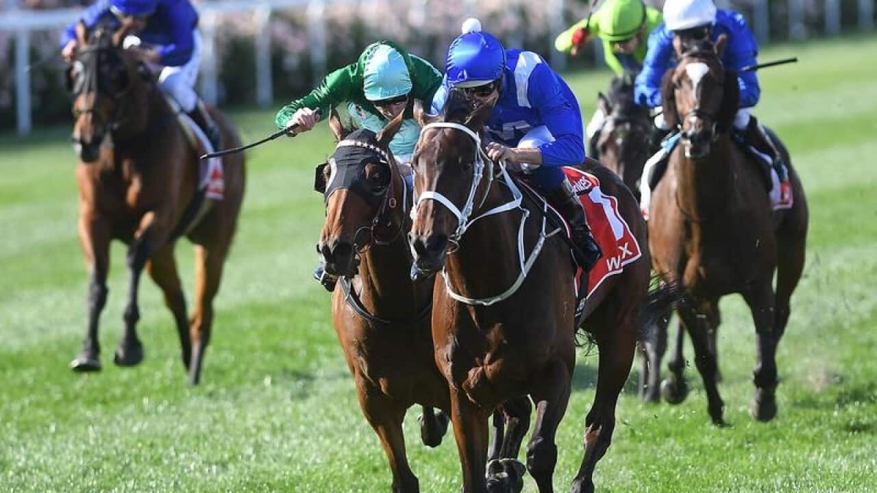 Hugh Bowman rides Winx (third from left) to victory in the Cox Plate.