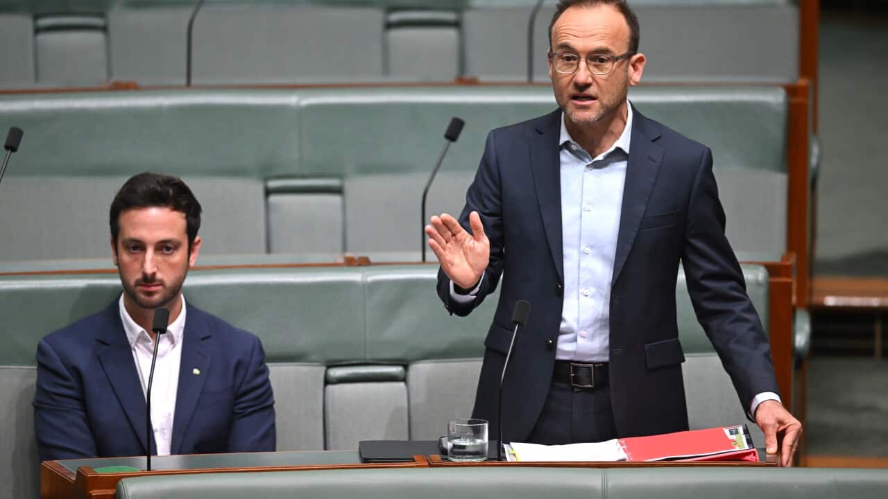 HOUSE OF REPRESENTATIVES BUSINESS