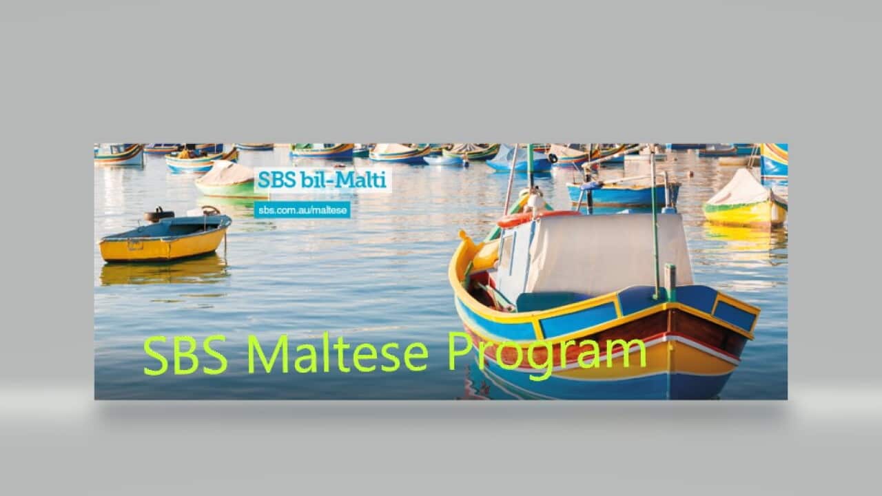 SBS Malt Prog 4.jpg