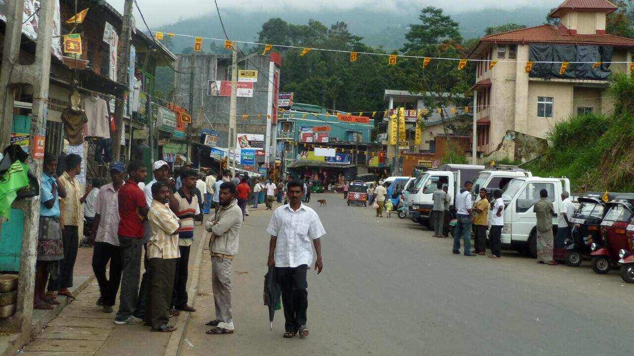 lanka2010a 090b-1.JPG