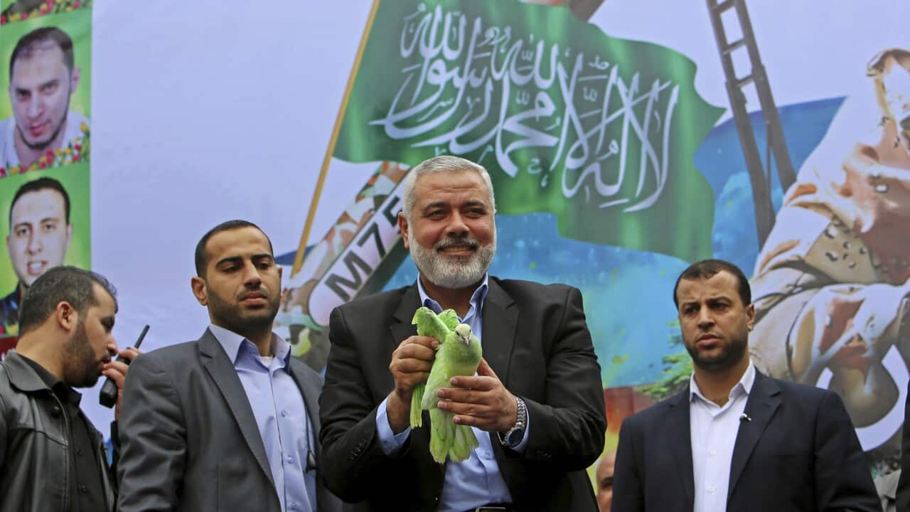 Egyptian court brands Hamas a terrorist group