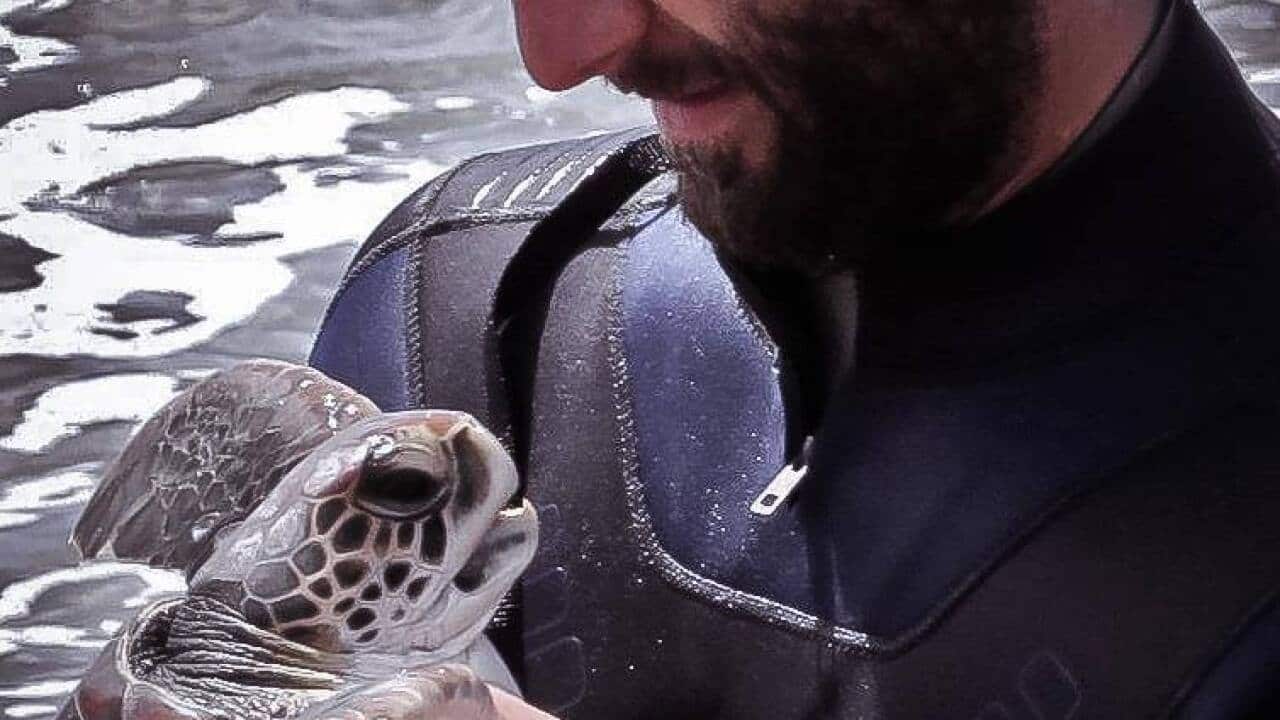 Image for read more article 'READ MORE'