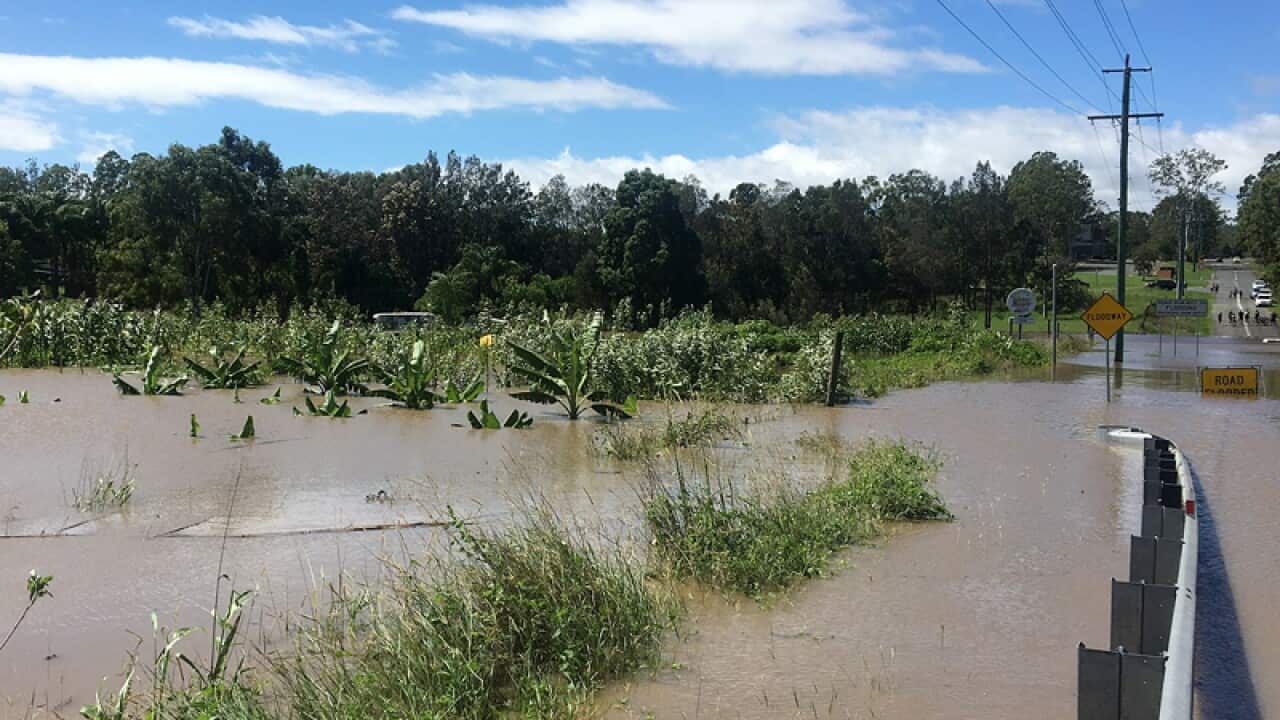 Floodwaters in Waterford near the Logan River at Logan