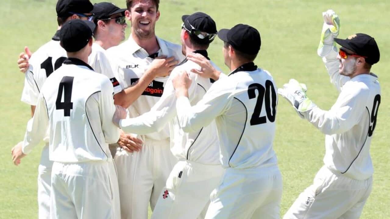 WA bowler Mitch Marsh (C) celebrates after claiming a wicket