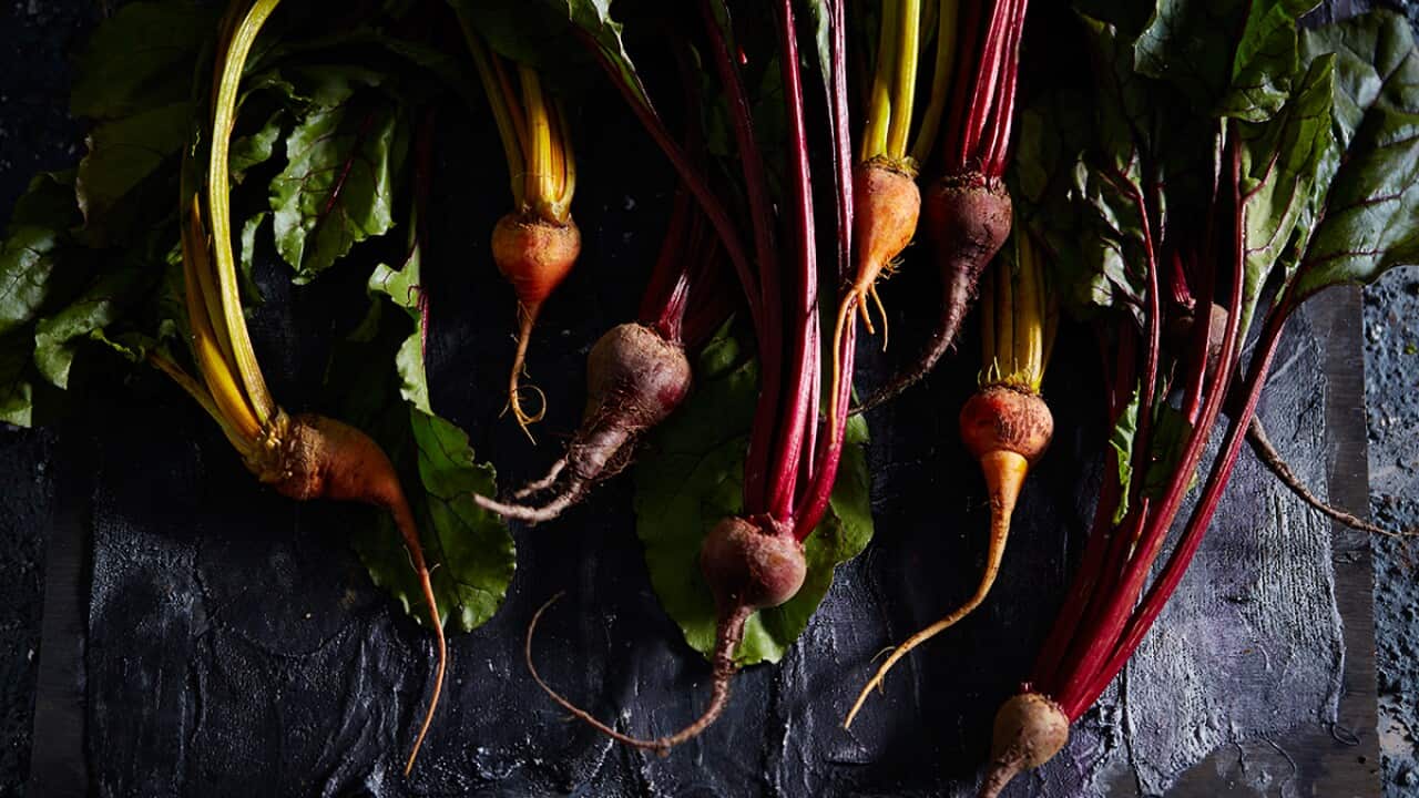 How to grow your own vegetables