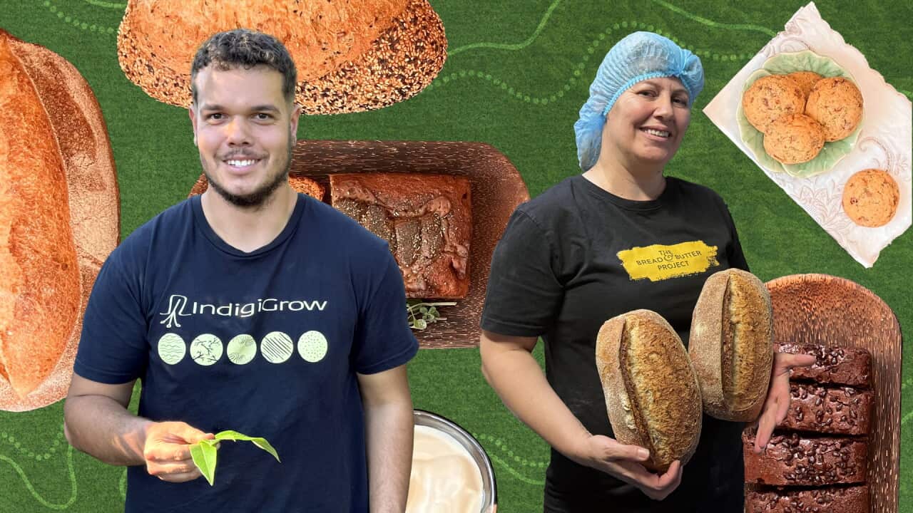 BUSHFOODS COLLAB WEB HERO.jpg