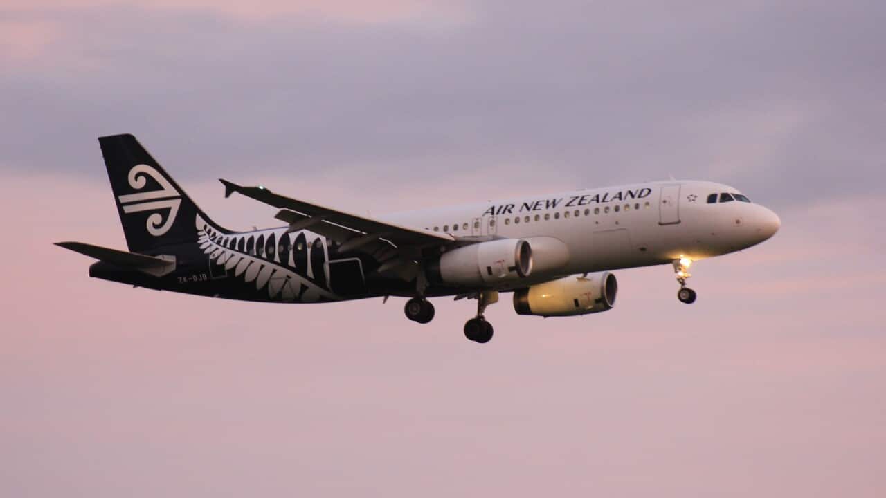 New Zealand's national carrier axed more than 1,000 flights across the Tasman through to 31 December.
