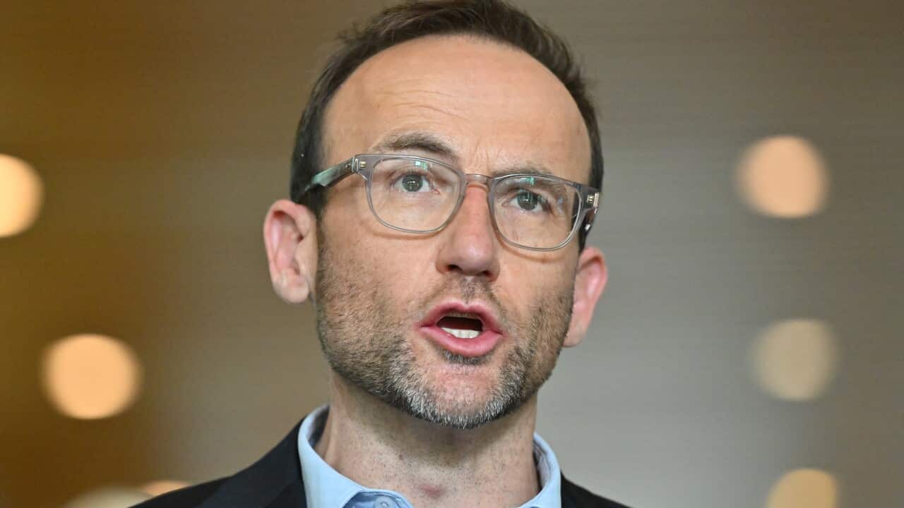 Greens leader Adam Bandt.