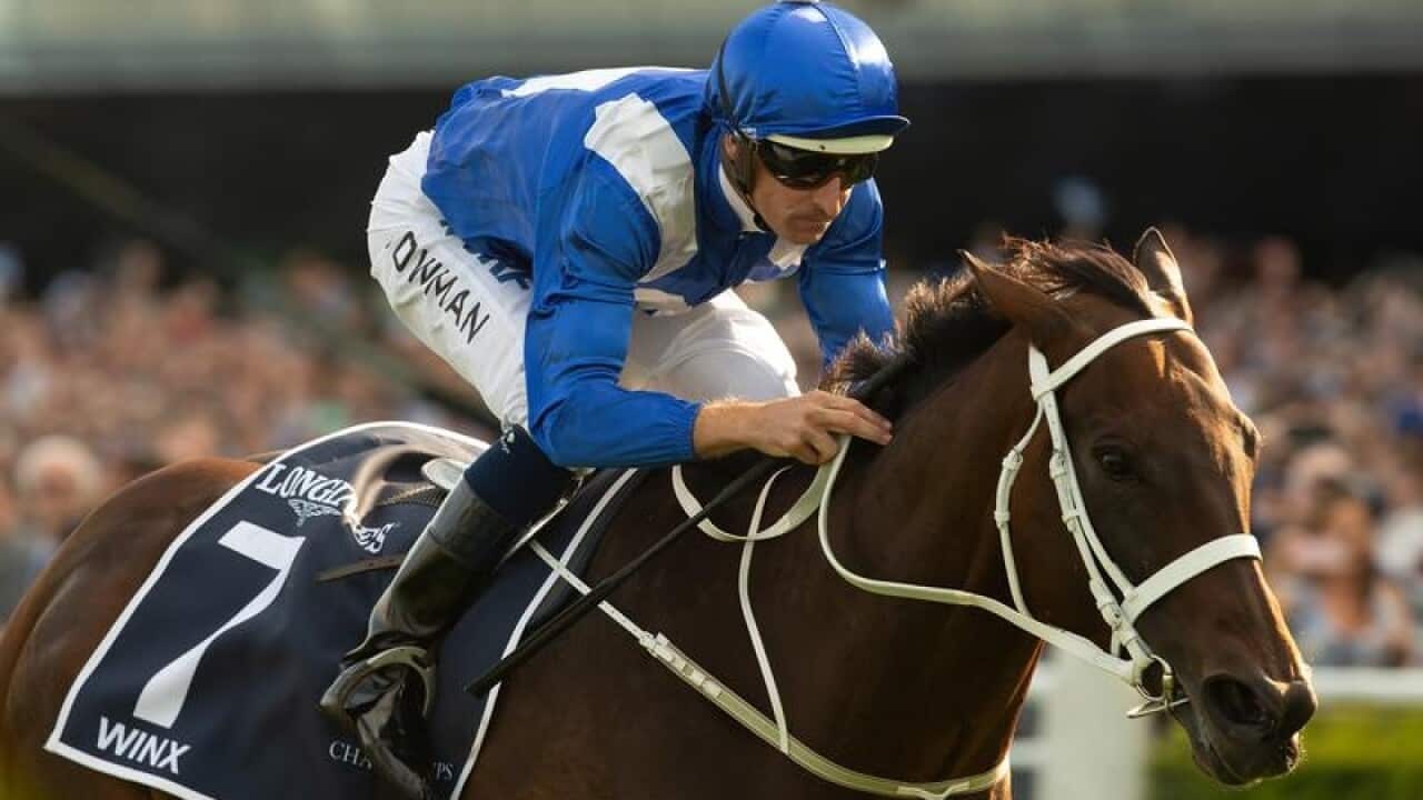 Winx.