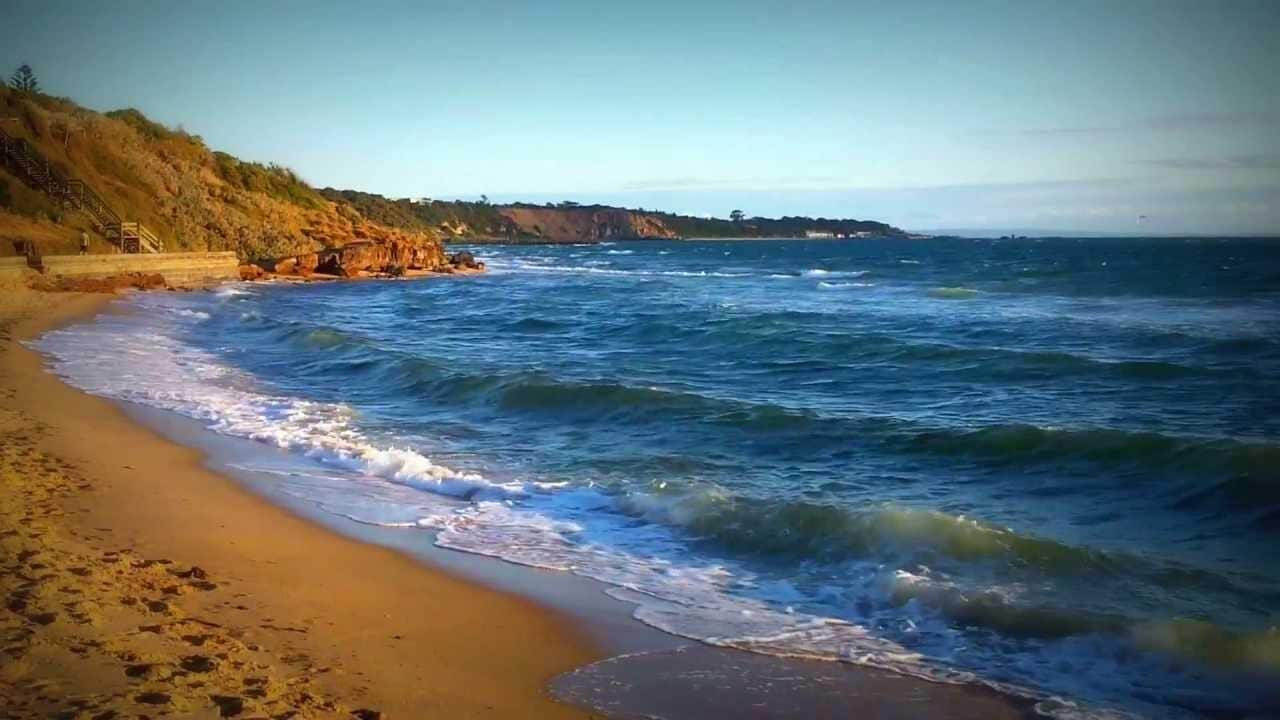 Daring to bare! Topless sunbakers and women in skimpy bikinis beating the heat on Sydney beaches face hefty $1100 FINES