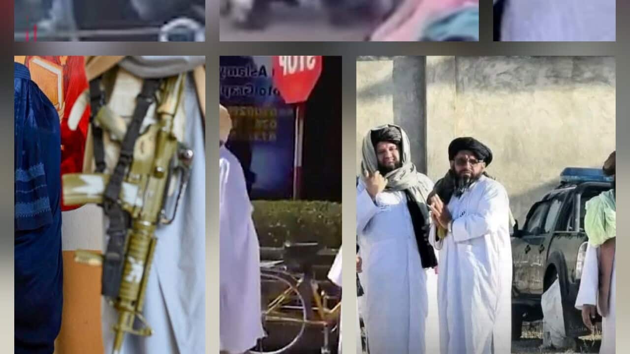 Afg Rep 31.07.jpg