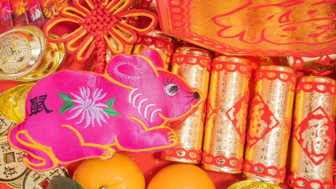 2020 year of the rat, Chinese new year