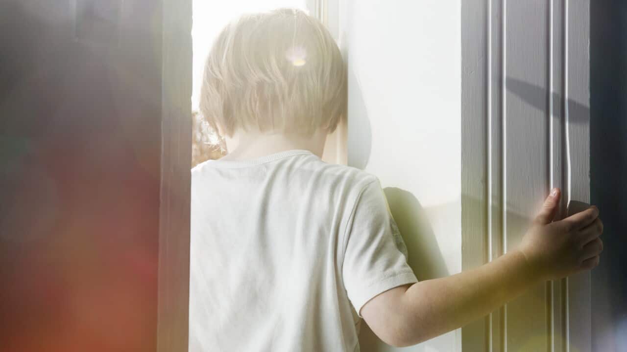 young child with back to camera