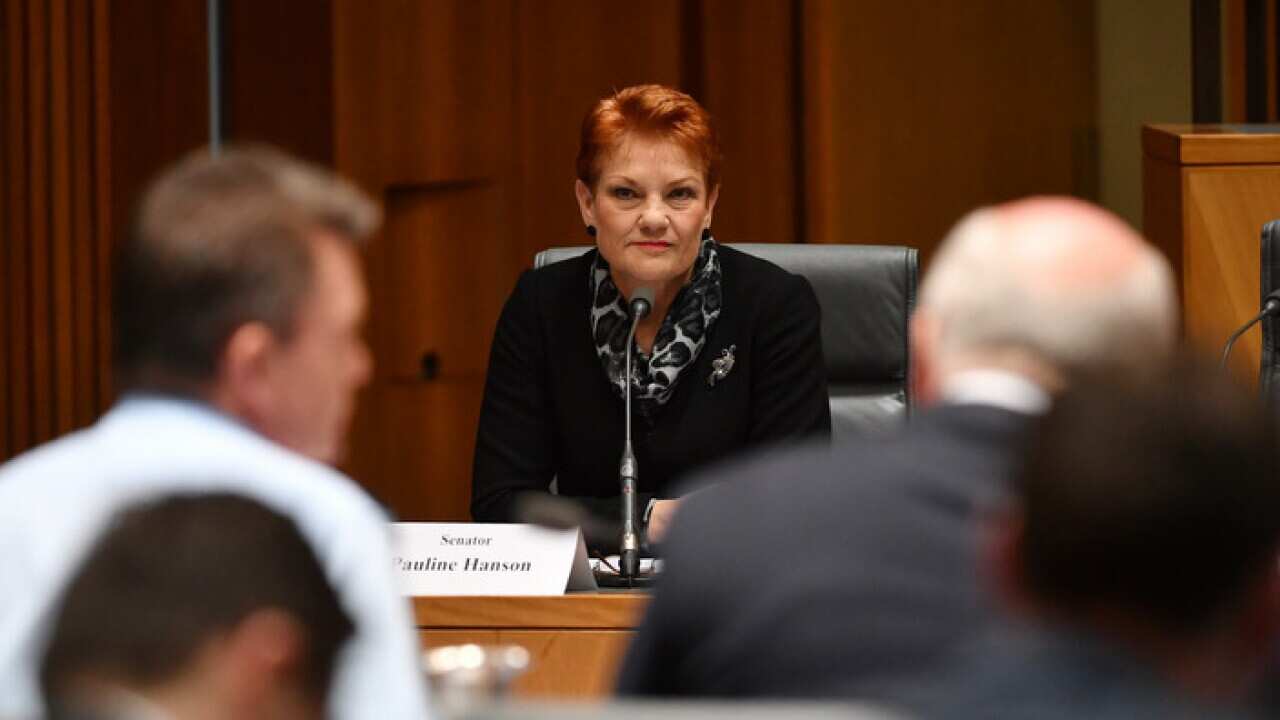 One Nation leader Senator Pauline Hanson