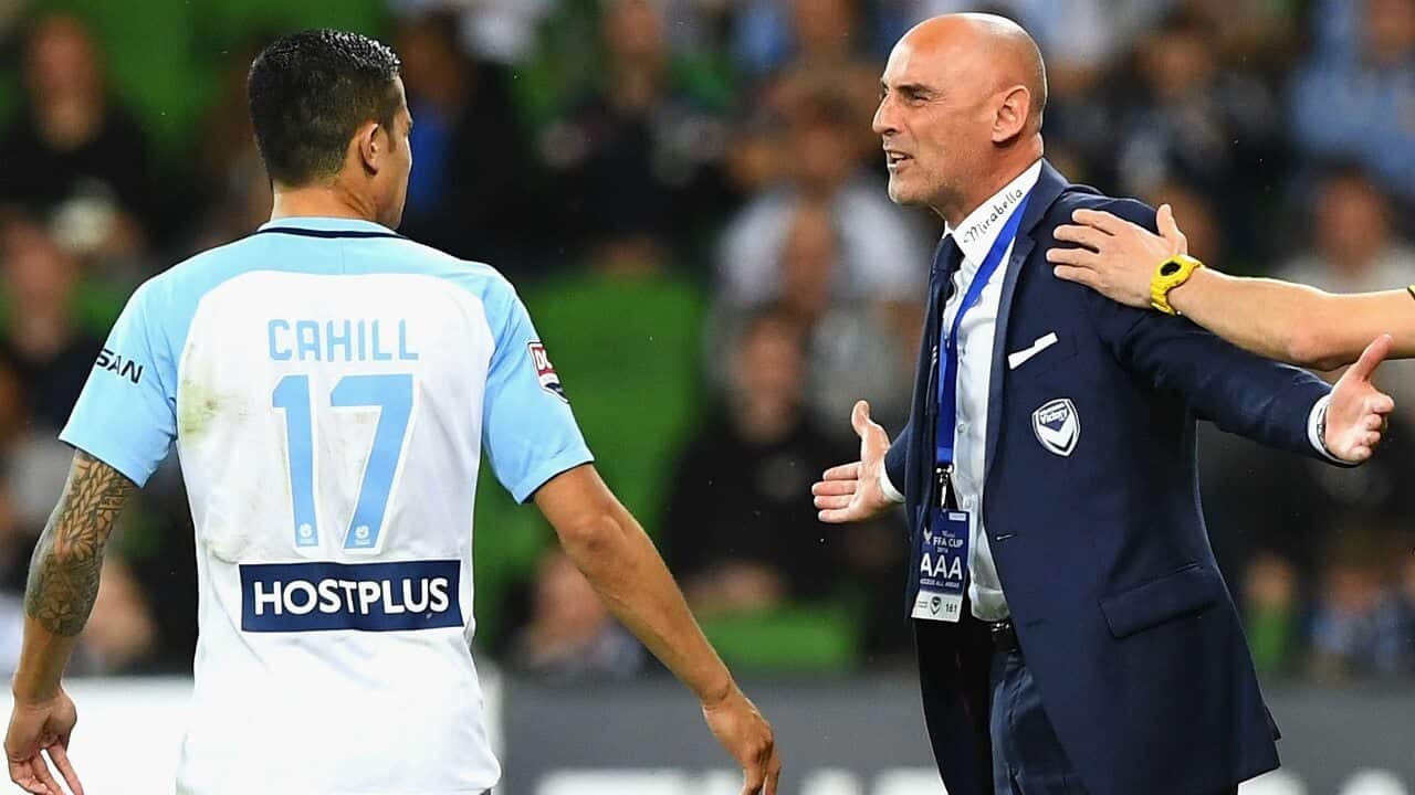 Kevin Muscat Tim Cahill