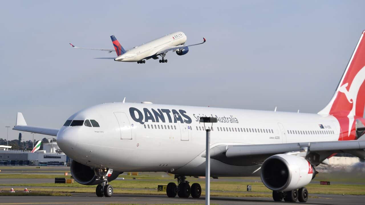 Passenger planes are seen at Sydney Airport on Tuesday, 6 July, 2021.