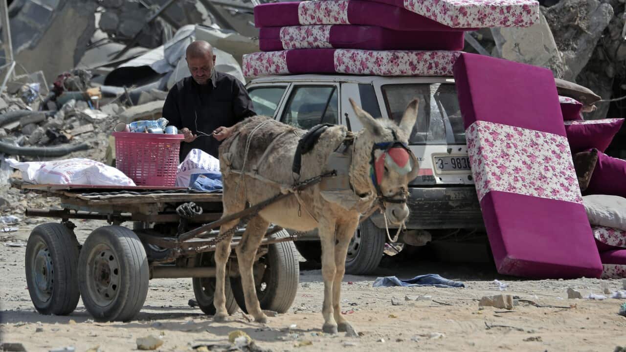A displaced Palestinian man in Hamad sitting with his belongings on a donkeycart amid the rubble of houses destroyed by Israeli bombardment.