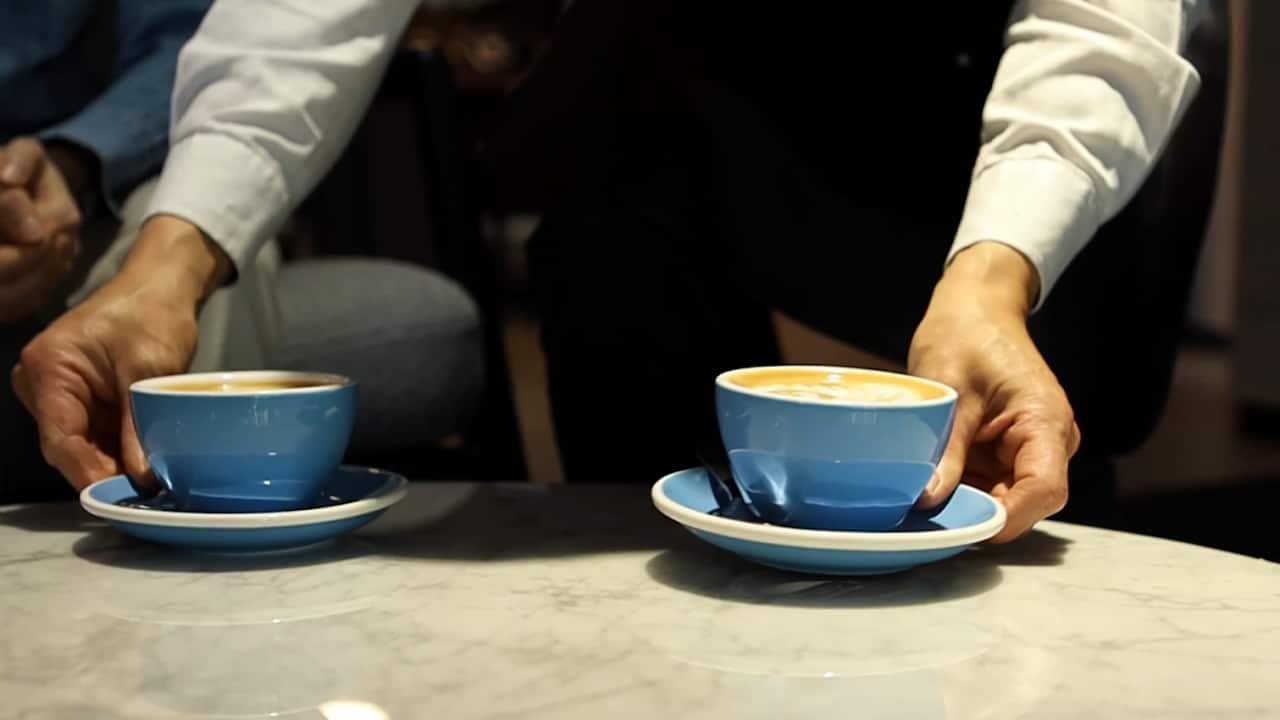 Image for read more article 'Lee también:'