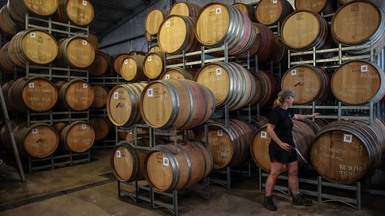Wine Harvest Gets Underway In Hunter Valley