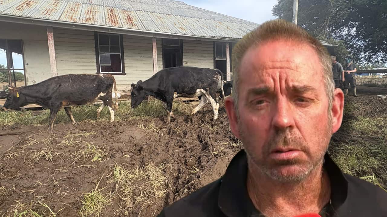The face of a middle aged Caucasian man with deep forehead wrinkles, short greying hair, and a sad expression, wearing a black shirt. His face is superimposed onto an image of the man's house, with two cows walking through mud at the front of the rundown property.
