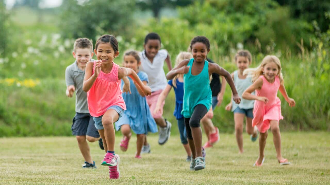 Playing Outside in a Field on a Sunny Day