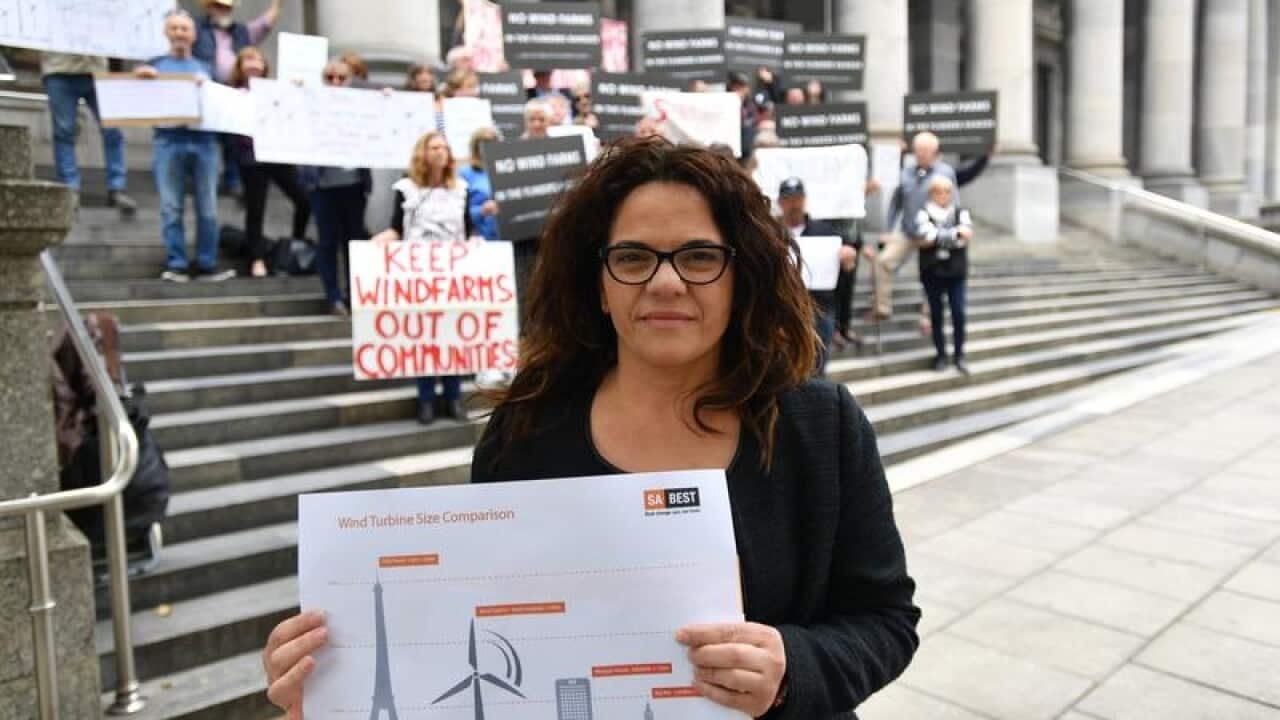 SA-BEST MLC Connie Bonaros at an anti-wind farm protest.