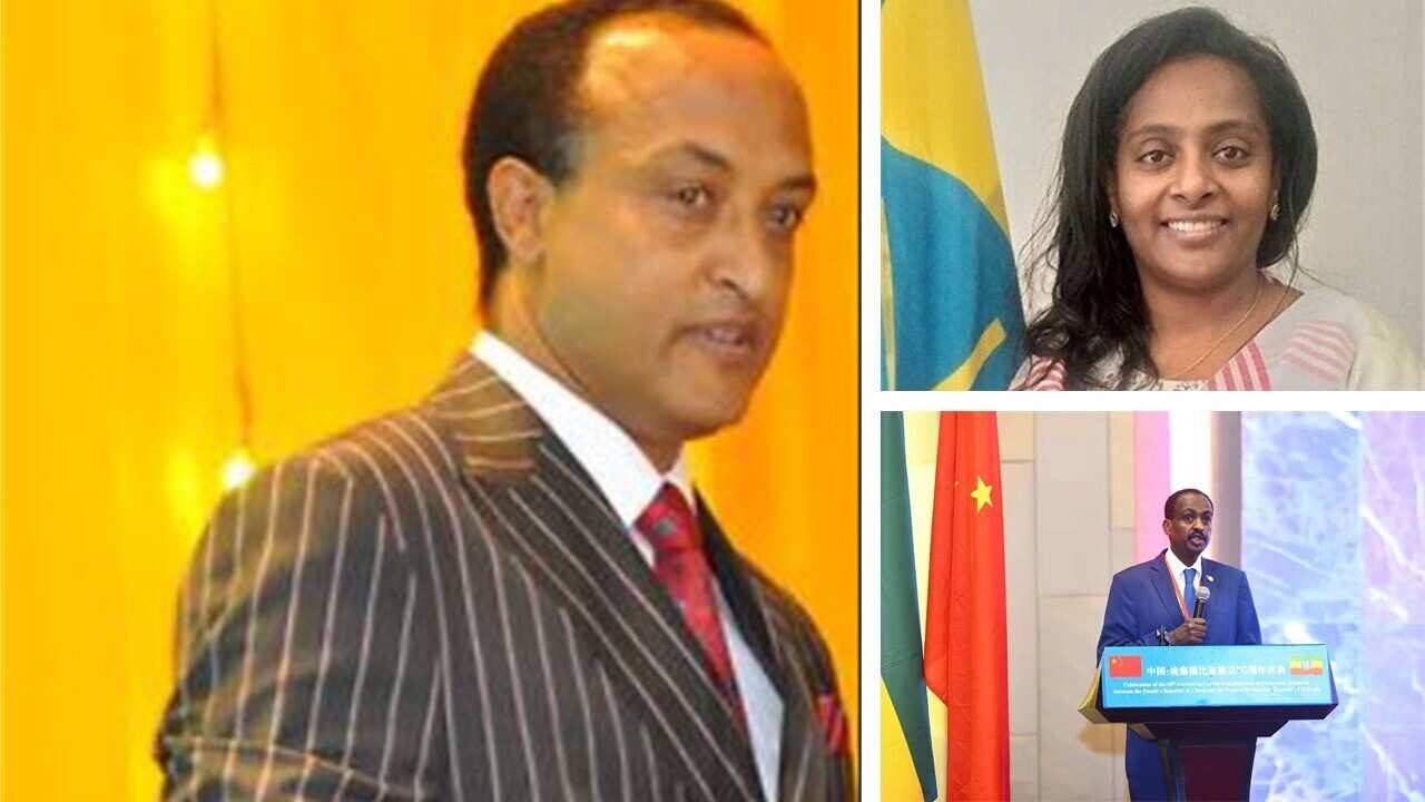 2020 A Year in Review: International Diplomacy