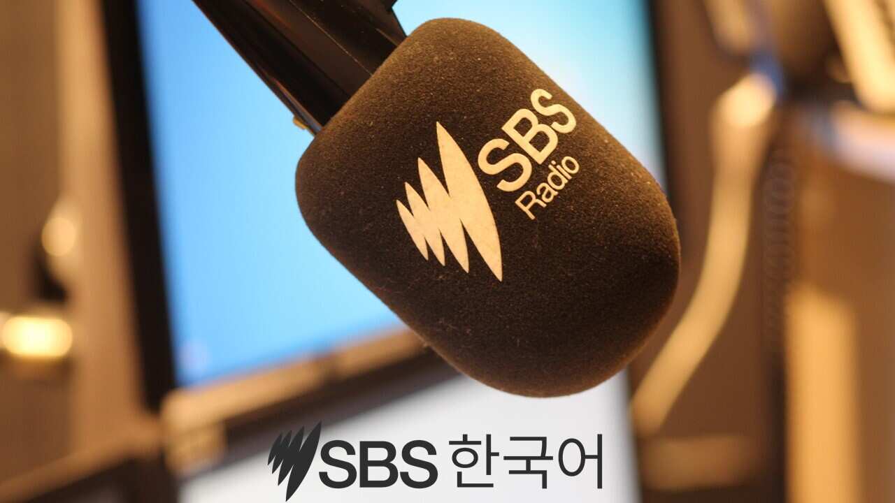 sbs News Healines