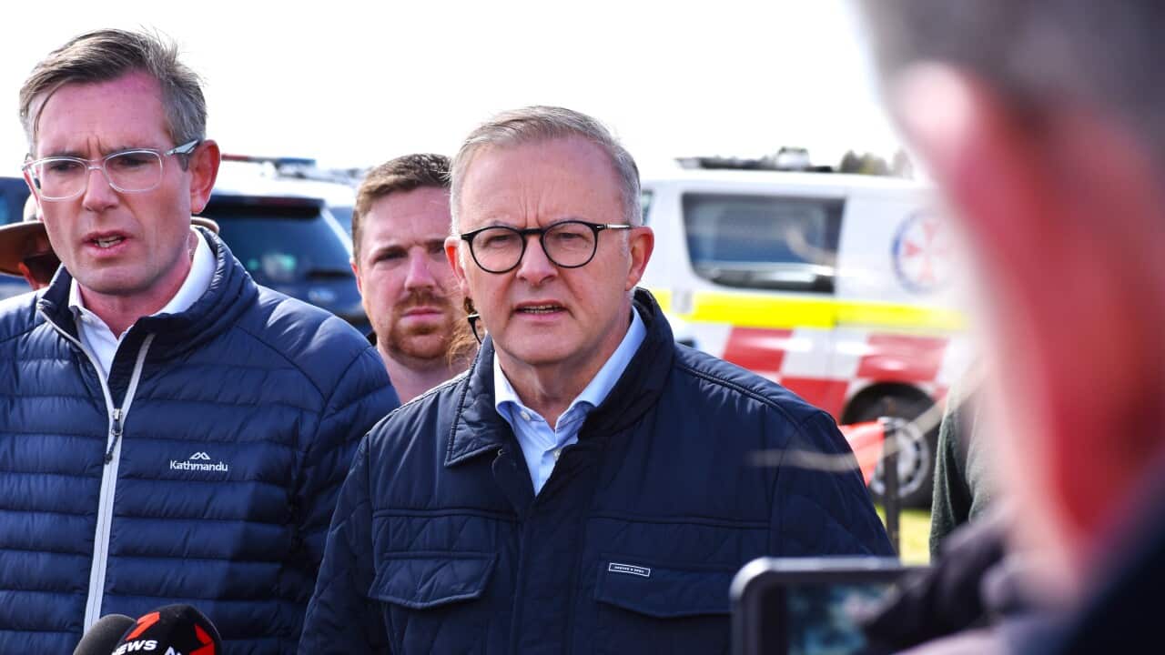 ANTHONY ALBANESE NSW FLOODS
