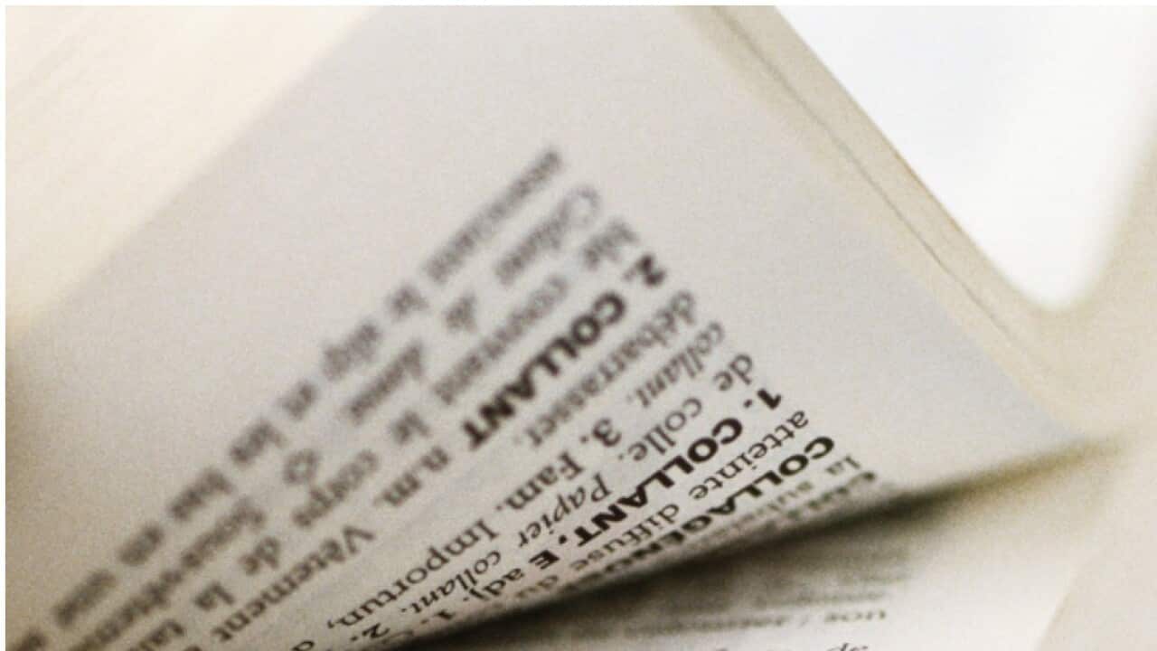 Macquarie Dictionary