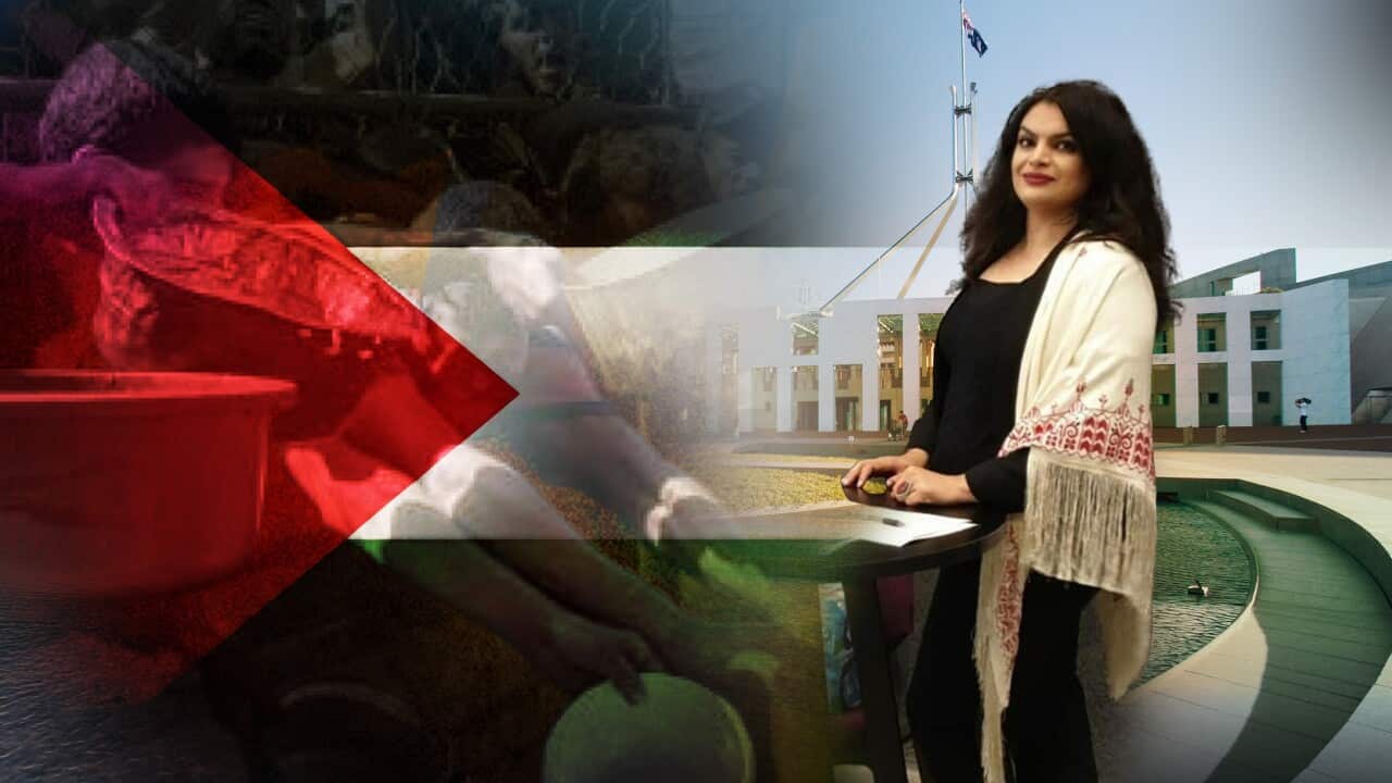 Image for read more article 'READ MORE'