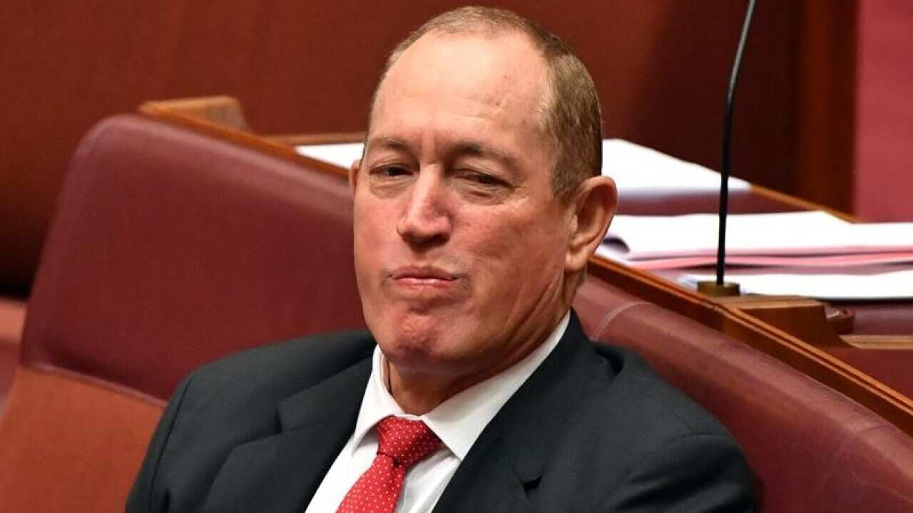 Senator Fraser Anning blamed the attack on 50 worshippers at mosques last month on Muslim migrants.