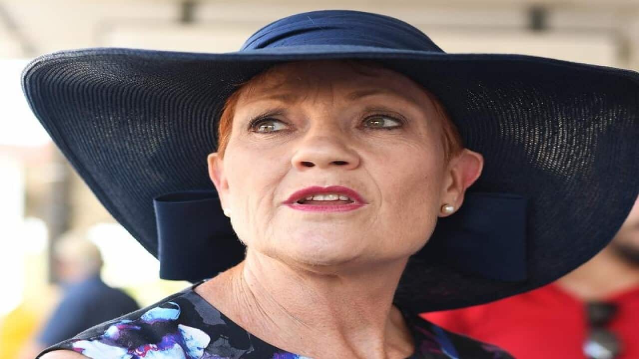 One Nation leader Pauline Hanson