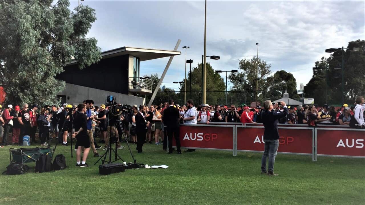 Albert Park this morning