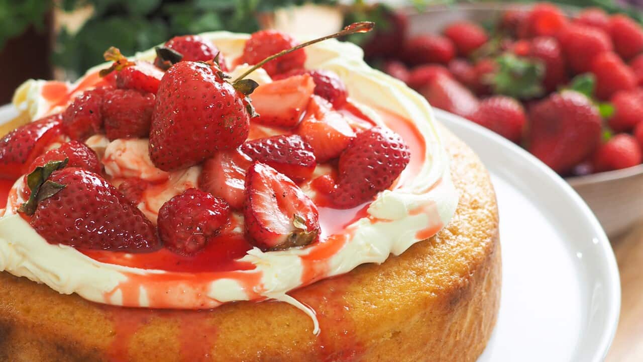 Yoghurt and olive oil cake