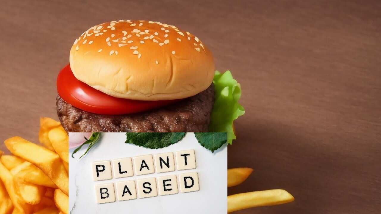 Plant-based foods