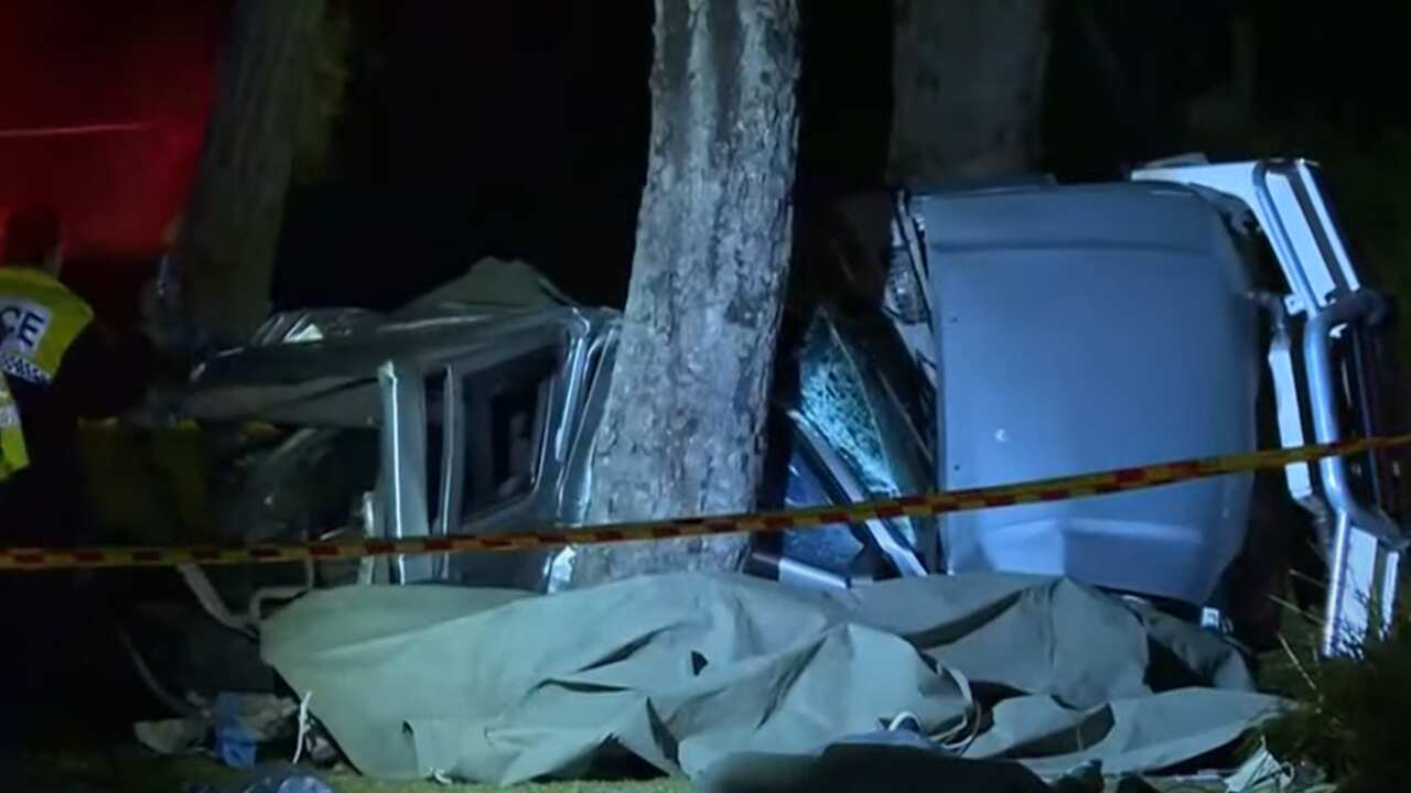 警方在一輛汽車失事現場附近的樹。