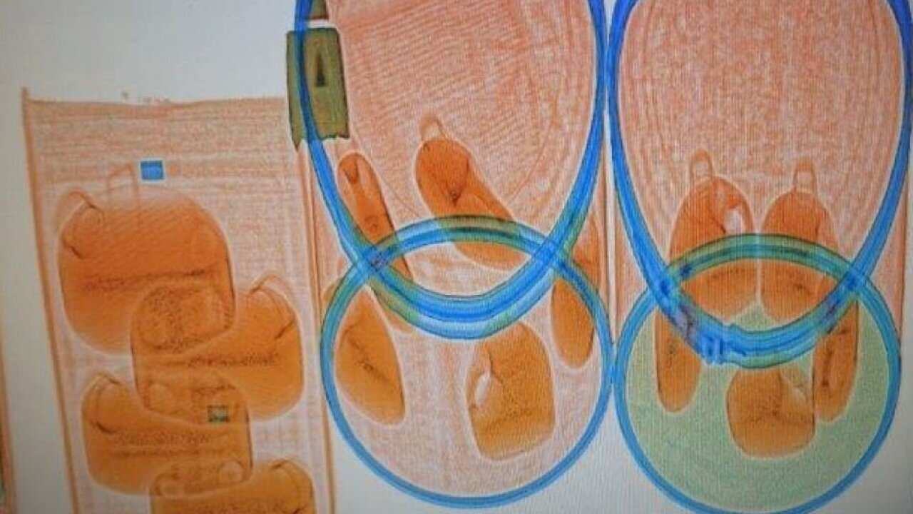 Iranian expats are being targeted by organised crime to act as drug mules, the AFP has warned.